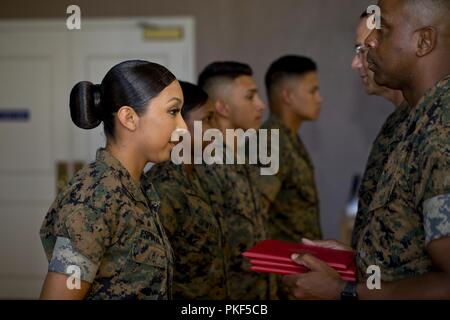 Negli Stati Uniti i membri di servizio civili e partecipare a una cerimonia di premiazione al Marine Corps reclutare deposito a San Diego, California, e il Agosto 8, 2018. La cerimonia si è svolta in onore dei Marines e marinai che erano stati aggiudicati l'organo di servizio del quarto premio per il loro achivements attraverso il terzo trimestre dell'anno fiscale 18 Foto Stock