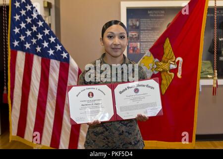 Negli Stati Uniti i membri di servizio civili e partecipare a una cerimonia di premiazione al Marine Corps reclutare deposito a San Diego, California, e il Agosto 8, 2018. La cerimonia si è svolta in onore dei Marines e marinai che erano stati aggiudicati l'organo di servizio del quarto premio per il loro achivements attraverso il terzo trimestre dell'anno fiscale 18 Foto Stock