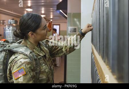 Stati Uniti La riserva di esercito Pvt. Justine A. Gutierrez, assegnato alla 205th premere il quartier generale di Camp, osserva gli elementi storici sul display durante una visita al Fort McCoy, Wisconsin, Centro Storico il 6 agosto 2018. Foto Stock