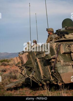 I soldati assegnati alla sede centrale e sede società, 1° Battaglione, 36o reggimento di fanteria, 1° Stryker Brigade Combat Team, vegliano in Fort Bliss, Texas durante la messa a fuoco di ferro Luglio 31, 2018. Foto Stock