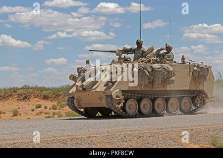 Un combattimento Bradley teste del veicolo per la sua posizione in El Jarba, una simulazione di città in Fort Bliss area formazione, e il Agosto 6, 2018 durante la messa a fuoco di ferro. Il 1° Stryker Brigade Combat Team soldati preparata una difesa davanti a l arrivo di una forza di opposizione o OPFOR, giocato da ottantaduesima Airborne Division troopers. Quasi 500 troopers assegnato a seconda dei vigili del Team di combattimento, ottantaduesima Airborne Division, potrebbe saltare in Fort Bliss, Texas Agosto 5, 2018 come parte del ferro di messa a fuoco e sarebbe poi la terra in McGregor addestramento complesso vicino a White Sands Missile Range, Nuovo Messico, e lavorare a cogliere obiettivi detenute dalle unità Foto Stock