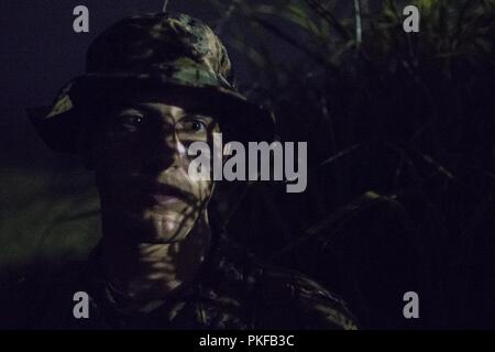 Stati Uniti Marine Corps Lance Cpl. Matt Alarie, una cellula meccanico con Marine attacco Fighter Squadron (VMFA) 121, sorge guardare durante l'esercizio Eagle ira 18 a bracci combinato Training Center Camp Fuji, Giappone, 23 luglio, 2018. Eagle ira è una formazione annuale esercizio progettato per aumentare squadron proficiency in avanti di un ambiente operativo, prova il comando di avanzamento e la struttura di controllo e di prassi per il mondo reale missioni di emergenza. Foto Stock