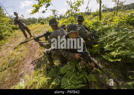 La Scout Sniper con 3° Battaglione, XXV Reggimento Marine, post 360 gradi di sicurezza prima di mettere in pratica attraversando una zona di pericolo durante la fase di esercizio di sciopero del Nord a Camp temolo, Mich, 11 Agosto, 2018. Esercizio sciopero del Nord è una guardia nazionale Bureau sponsorizzato da esercizio di formazione che unisce i membri del servizio da più rami, stati e paesi della coalizione di condurre la massa combinata di aria e le operazioni di combattimento. Foto Stock