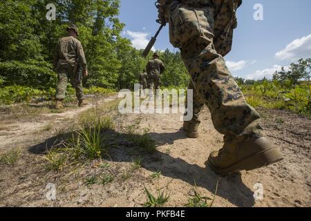 La Scout Sniper con 3° Battaglione, XXV Reggimento Marine, condurre esercitazioni di pattugliamento durante l'esercizio sciopero del Nord a Camp temolo, Mich, 11 Agosto, 2018. Camp temolo, il più grande la Guardia Nazionale nel centro del paese a copertura 147,000 acri, offre molte grandi artiglieria, Malta, serbatoio gamme e i corsi di manovra. Foto Stock