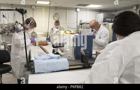 Un gruppo di stampa latente esaminatori assegnati per la Forensic sfruttamento - Laboratorio centrale di comando, lavorano fianco a fianco per estrarre i campioni da acquisite materiale nemico a Camp Arifjan, Kuwait, 9 agosto 2018. La FXL-C fornisce informazioni di vitale importanza ai lottatori i comandanti del CENTCOM area di responsabilità che li aiuta a rimanere in testa la lotta. Foto Stock