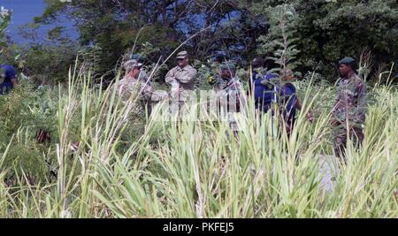 Sgt. 1. Classe Robby E. Creech, team leader e lo Staff Sgt. Jose J. Palacios, ricerca ed estrazione di piombo con chimica, biologica, radiologica, nucleare esplosivi enhanced response force package (CERFP), osservare e istruire i membri del Saint Kitts e Nevis Fire Rescue Team Servizi mentre essi conducono una vasta area cerca a Fort Thomas motel abbandonati, St Kitts e Nevis. Foto Stock