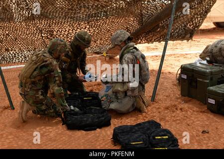 Fort Bliss, TX - Specialista Gizela Lupescu, combattere Medic della brigata 230th battaglione di supporto, recensioni gli elementi inclusi in una sacca di medici per i soldati moldavo incastonata nella sua unità. I militari della Moldavia è una parte della Guardia Nazionale Ufficio di presidenza dello stato del programma di partnership con la Carolina del Nord la Guardia Nazionale. Il 230th è parte del trentesimo corazzato della brigata esportabili combattere la capacità di formazione (XCTC) esercizio. L'esercizio è uno del trentesimo esercizio più grande nella storia recente, con oltre 4.000 soldati cittadino dal North Carolina, South Carolina, West Virginia, Minnesota, e il paese di Foto Stock