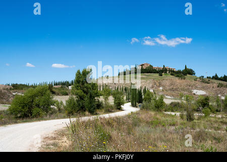 Un cipresso viale alberato su una proprietà in Val d'Orcia Toscana Italia Europa UE Foto Stock