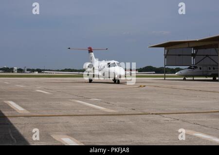 Una T-1A Jayhawk taxi dopo lo sbarco a base comune San Antonio-Randolph, Texas. Il XII Flying ala formazione impiega la T-1A insegnare istruttore pilota per la formazione di studenti e di sistemi di combattimento ufficiali. Foto Stock