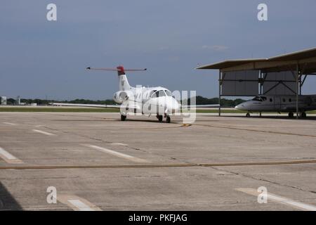 Una T-1A Jayhawk taxi dopo lo sbarco a base comune San Antonio-Randolph, Texas. Il XII Flying ala formazione impiega la T-1A insegnare istruttore pilota per la formazione di studenti e di sistemi di combattimento ufficiali. Foto Stock