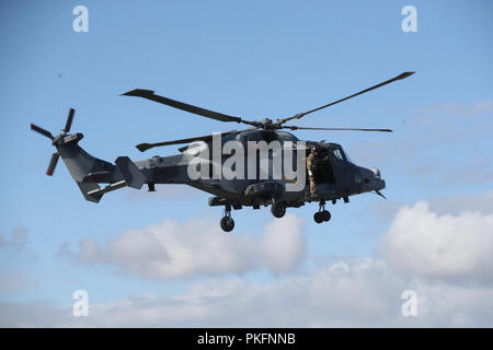 Il Duca di Sussex (non visibile) arriva in un AH1 wildcat elicottero con la 847 Naval Air squadron durante una visita al Royal Marines Commando Training Center in Lympstone, Devon. Foto Stock