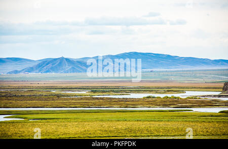 Su brooke pascoli nel Xinjiang Foto Stock