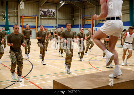 Marine Commando esercizio come il Duca di Sussex visiti i Royal Marines Commando Training Center in Lympstone, Devon. Foto Stock