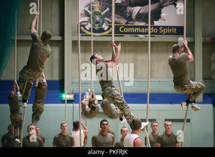 Marine Commando salire corde come il Duca di Sussex visiti i Royal Marines Commando Training Center in Lympstone, Devon. Foto Stock