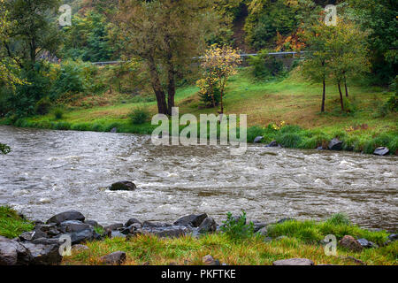 Lo splendido paesaggio di stream da qualche parte in Serbia Foto Stock