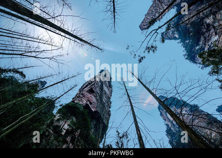 Zhangjiajie nella provincia del Hunan è il figlio del cielo del paesaggio di montagna Foto Stock