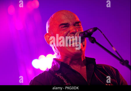 Belga di punk band i bambini alla Radio 1 Sessies (Belgio, 12/10/2010) Foto Stock