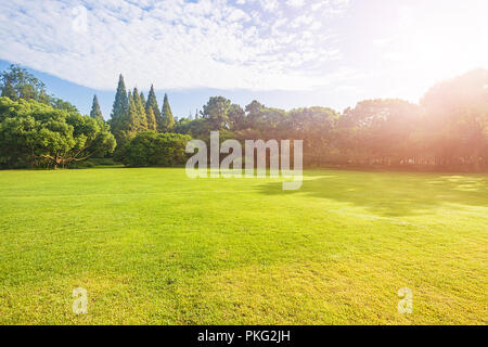 Jiangsu wuxi tartaruga testa isola Foto Stock