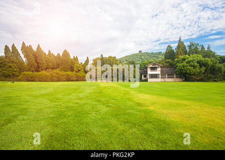 Jiangsu wuxi tartaruga testa isola Foto Stock