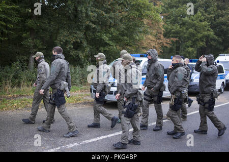 Settembre 13, 2018 - Kerpen, Renania settentrionale-Vestfalia, Germania - oggi lo sfratto di occupazione del Hambacher Forst avviato. (Credito Immagine: © Jannis Grosse/ZUMA filo) Foto Stock