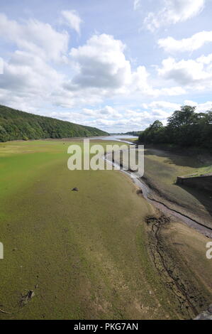 Leeds, Yorkshire Regno Unito. 13 Sett 2018. I livelli di acqua rimangono bassi a Lindley serbatoio nell'Washubrn Valley, al di fuori di Leeds e Bradford conurbazioni dopo un record di caldo estivo. Lindley è solo uno di una stringa di serbatoi in Washburn valle di alimentazione di acqua per le grandi città nella zona. credito David Hickes/Alamy Live News. Foto Stock