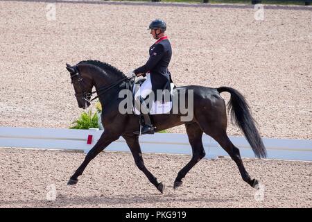 Tryon, North Carolina, Stati Uniti d'America. Xiii Sep 2018. Carl Hester. Hawtins delicato. GBR. Dressage. Il giorno 3. Giochi equestri mondiali. WEG 2018 Tryon. Carolina del Nord. Stati Uniti d'America. 13/09/2018. Credito: Sport In immagini/Alamy Live News Foto Stock