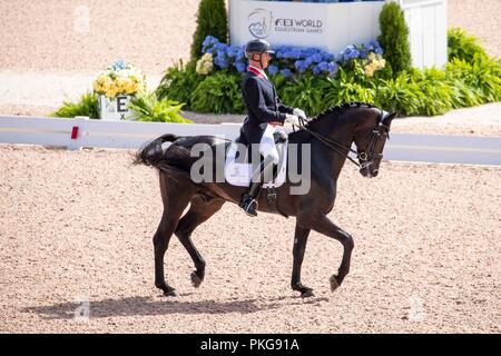 Tryon, North Carolina, Stati Uniti d'America. Xiii Sep 2018. Carl Hester. Hawtins delicato. GBR. Dressage. Il giorno 3. Giochi equestri mondiali. WEG 2018 Tryon. Carolina del Nord. Stati Uniti d'America. 13/09/2018. Credito: Sport In immagini/Alamy Live News Foto Stock