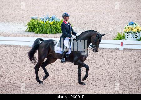 Tryon, North Carolina, Stati Uniti d'America. Xiii Sep 2018. Carl Hester. Hawtins delicato. GBR. Dressage. Il giorno 3. Giochi equestri mondiali. WEG 2018 Tryon. Carolina del Nord. Stati Uniti d'America. 13/09/2018. Credito: Sport In immagini/Alamy Live News Foto Stock