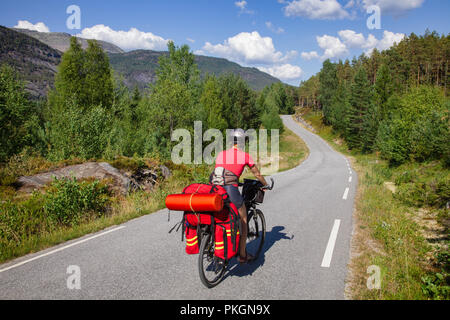 Un ciclista viaggia cavalca un percorso ciclabile lungo la panoramica strada della foresta nel sud della Norvegia Foto Stock