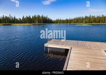 Piscina galleggiante dock zattera su un lago di foresta nella Norvegia centrale Foto Stock