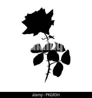 Silhouette nera di rosa di illustrazione. Fiore spinato con foglie. Segno di rose. Giardino fiorito . Cartolina, logo, coprire tattoo floreali elemento di design. Il vettore isolato su sfondo bianco Illustrazione Vettoriale