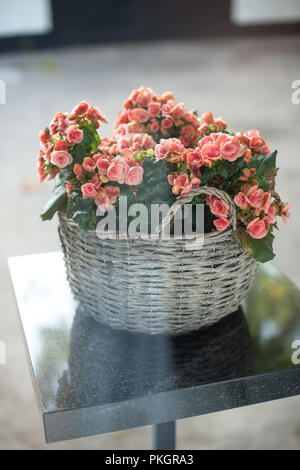 Bouquet di fiori luminosi nel cestello sul tavolo Foto Stock