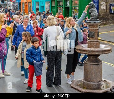 Edimburgo Scozia toccando il naso di Greyfriars Bobby statua PER BUONA FORTUNA Foto Stock