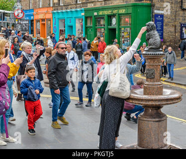 Edimburgo Scozia toccando il naso di Greyfriars Bobby statua per i migliori auguri di buona fortuna Foto Stock