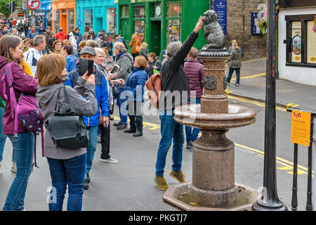 Edimburgo Scozia toccando il naso di Greyfriars Bobby statua Foto Stock