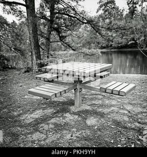 I boschi, TX USA - Feb 20, 2018 - Picnic panca da un lago in B&W Foto Stock