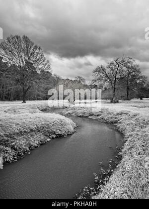 I boschi, TX USA - Febbraio 20, 2018 - flusso di acqua in un bosco 2 in B&W Foto Stock