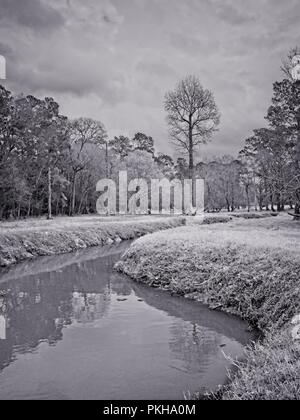 I boschi, TX USA - Febbraio 20, 2018 - flusso di acqua in un bosco in B&W Foto Stock