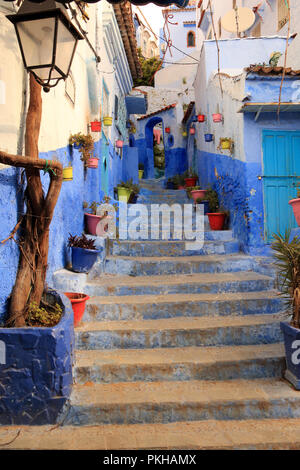 Strada tipica, splendidamente decorato con vasi di turistico villaggio marocchino di Chefchaouen Foto Stock