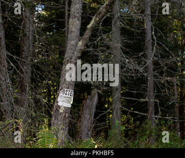 Posted proprietà privata segno su un albero in corrispondenza di un bordo di una scure Montagne Adirondack, NY USA foresta. Foto Stock