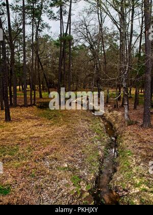 I boschi, TX USA - Feb 20, 2018 - Streaming di boschi in The Woodlands TX Foto Stock