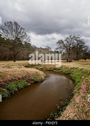 I boschi, TX USA - Febbraio 20, 2018 - flusso di acqua in un bosco 2 Foto Stock