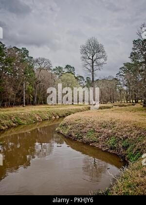 I boschi, TX USA - Febbraio 20, 2018 - flusso di acqua in un bosco Foto Stock