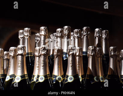 Abrau-Durso, Russia - Agosto 22, 2018: bottiglie di champagne sul contatore. Ripiani con vino e champagne nella cantina del negozio. Sportello presso la cantina Foto Stock