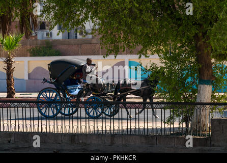 Tradizionale carrozza a cavallo per i turisti guidati da un uomo egiziano che indossa jellabiya, fiume Nilo, Assuan, Egitto, Africa Foto Stock