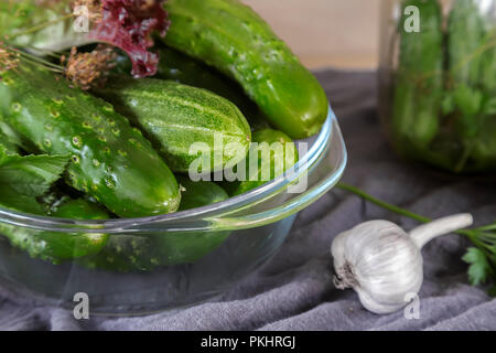 Cetrioli e cetriolini, preparati per Canning e necessarie spezie. Foto Stock