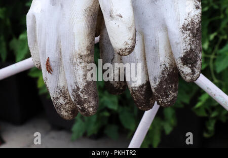 Un guanto bianco con argilla sulle dita dopo il giardino di lavoro. Appeso a una certa stringa Foto Stock