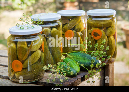 Quattro bicchieri di cetrioli sottaceto in giardino Foto Stock