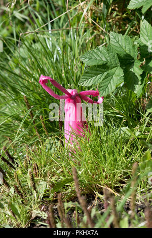 Dog Poo bag abbandonate su un sentiero di campagna, Wharfedale nel Yorkshire Dales National Park, Regno Unito. Foto Stock