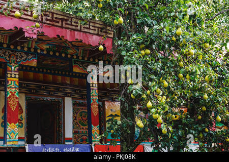 La provincia di Sichuan ganzizhou Dan yuba jiaju villaggio tibetano Foto Stock